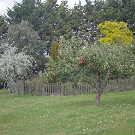 The Willow Studio - Peaceful Retreat Near Whitstable Seaside Faversham Eksteriør billede