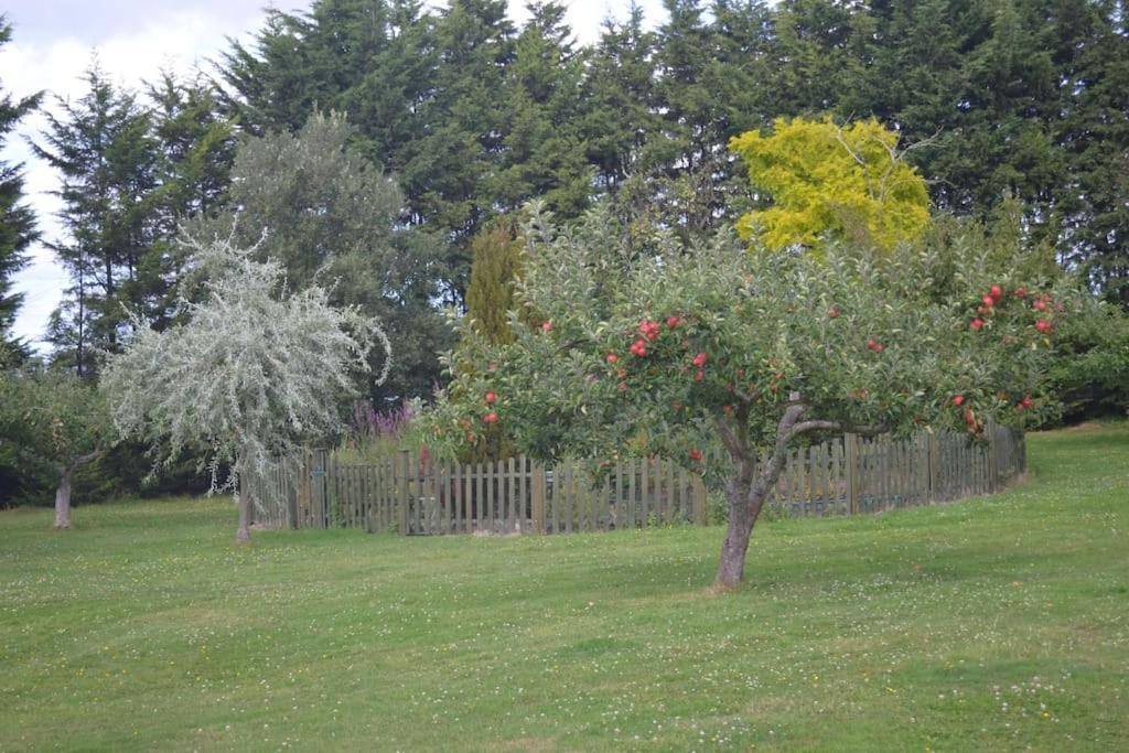 The Willow Studio - Peaceful Retreat Near Whitstable Seaside Faversham Eksteriør billede