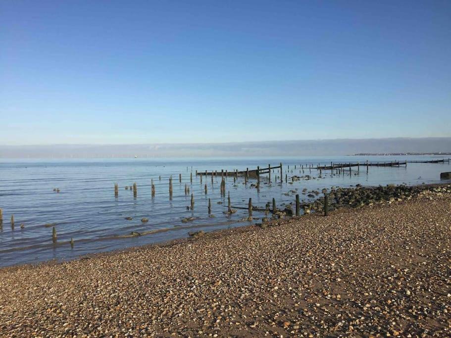 The Willow Studio - Peaceful Retreat Near Whitstable Seaside Faversham Eksteriør billede